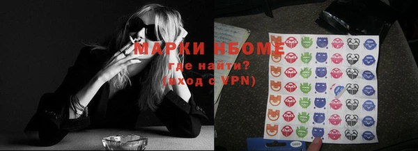 гидра Надым
