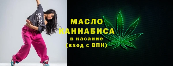 гидра Надым