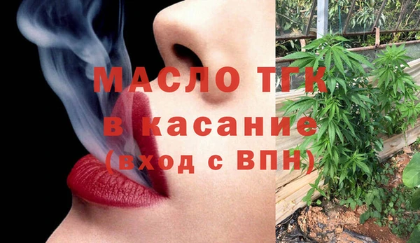 гидра Надым