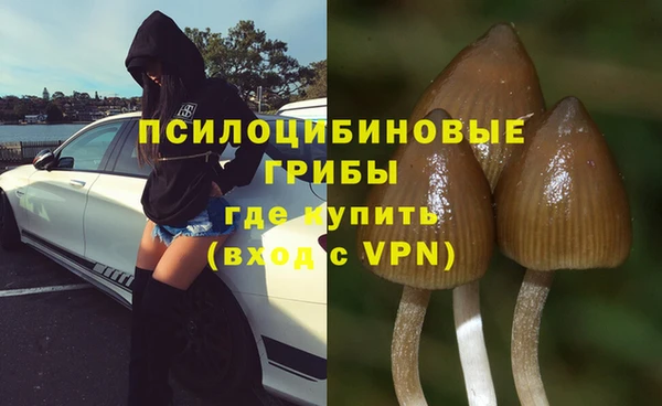 амфетамин Анива