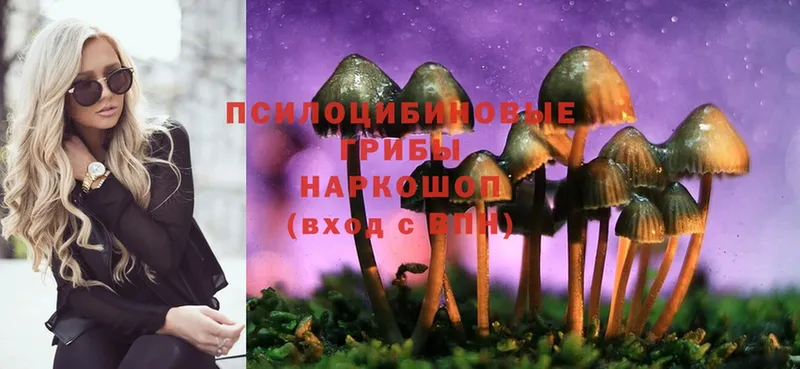 закладки  Княгинино  MEGA вход  Галлюциногенные грибы Cubensis 