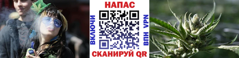 Бошки марихуана MAZAR  Княгинино 